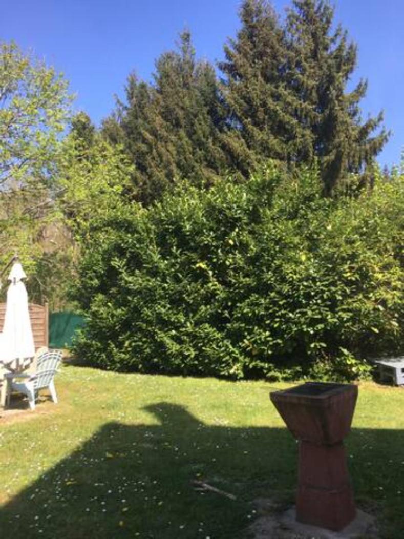Cosy Proche Fontainebleau Et Foret Holiday home Noisy-sur-Ecole