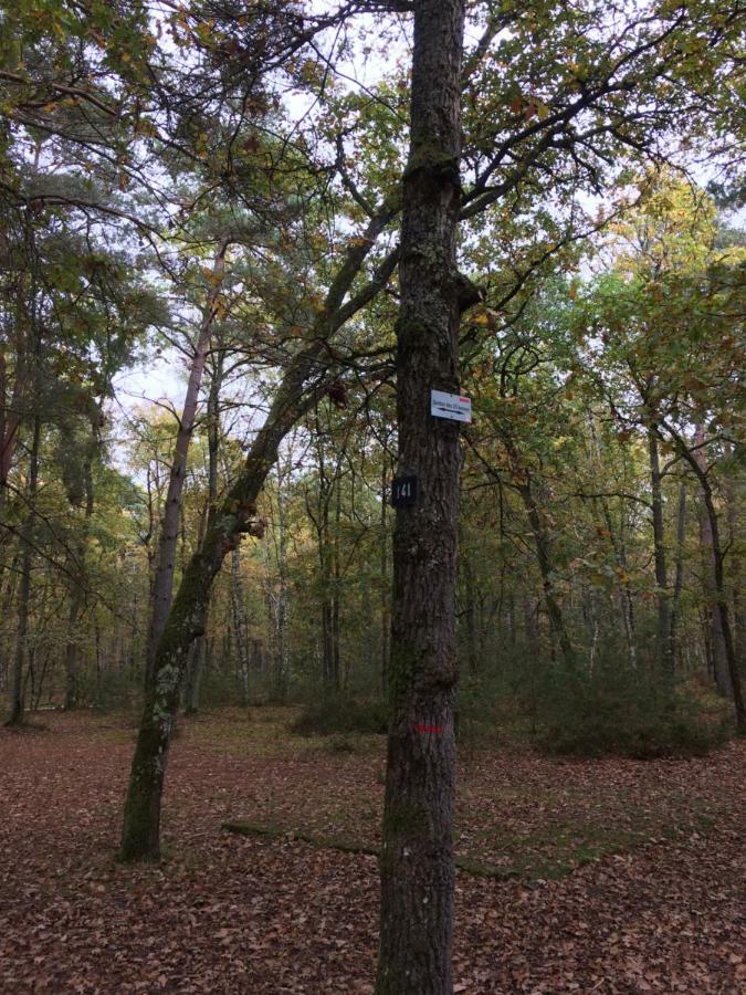 Cosy Proche Fontainebleau Et Foret * Noisy-sur-Ecole